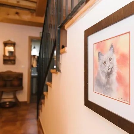 El Gato Encantado * Matalebreras