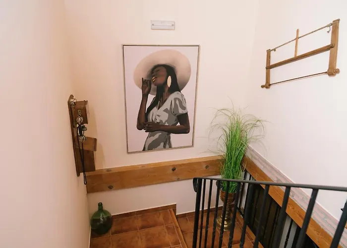 El Gato Encantado Matalebreras