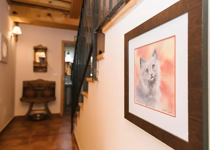 El Gato Encantado * Matalebreras